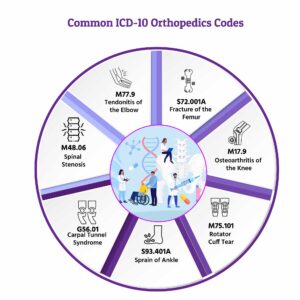 Common Orthopedic ICD-10 Codes Orthopedic Billing Codes ICD-10 Codes Orthopedics Orthopedic Practice Management Software EHR Software for Orthopedics EMR Orthopedic Coding Solutions Orthopedic Revenue Cycle Management ICD-10 Codes for Fractures ICD-10 Codes Osteoarthritis Orthopedic Medical Coding DocVilla Orthopedic EHR Software ICD-10 Coding Guidelines Orthopedics Cloud-based Orthopedic EHR Streamlining Orthopedic Coding Orthopedic EHR integration