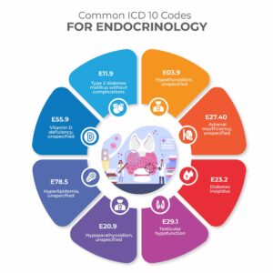 ICD-10 codes for endocrinology Common endocrine diagnosis codes Diabetes mellitus ICD-10 codes Thyroid disorder ICD-10 codes Endocrinology billing codes DocVilla endocrinology EHR EHR software for endocrinologists Endocrine disorder coding Hyperlipidemia ICD-10 codes Obesity ICD-10 classification Electrolyte imbalance ICD-10 Endocrinology practice management software Cloud-based EMR for endocrinology Automated coding for endocrine disorders Endocrinology documentation templates