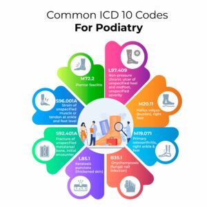 ICD 10 codes for podiatry Common podiatry diagnosis codes Foot pain ICD 10 codes Diabetic foot ulcer ICD 10 DocVilla podiatry EHR EHR software for podiatrists Nail disorder ICD 10 podiatry Heel pain ICD 10 codes Ingrown toenail ICD 10 Best EMR for foot and ankle clinics Podiatry billing diagnosis codes Plantar fasciitis ICD 10 Cloud based EMR podiatry Foot infection ICD 10 SOAP templates for podiatry